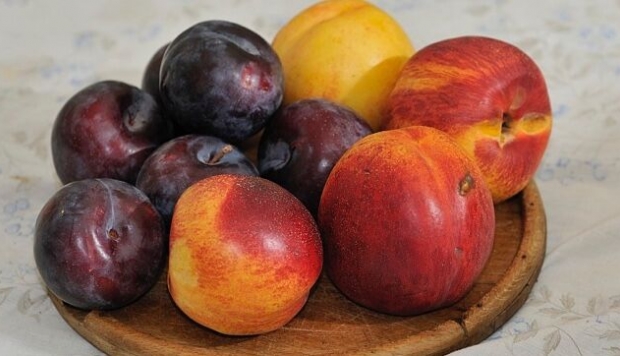 Sorbitol como edulcorante natural: ventajas y limitaciones