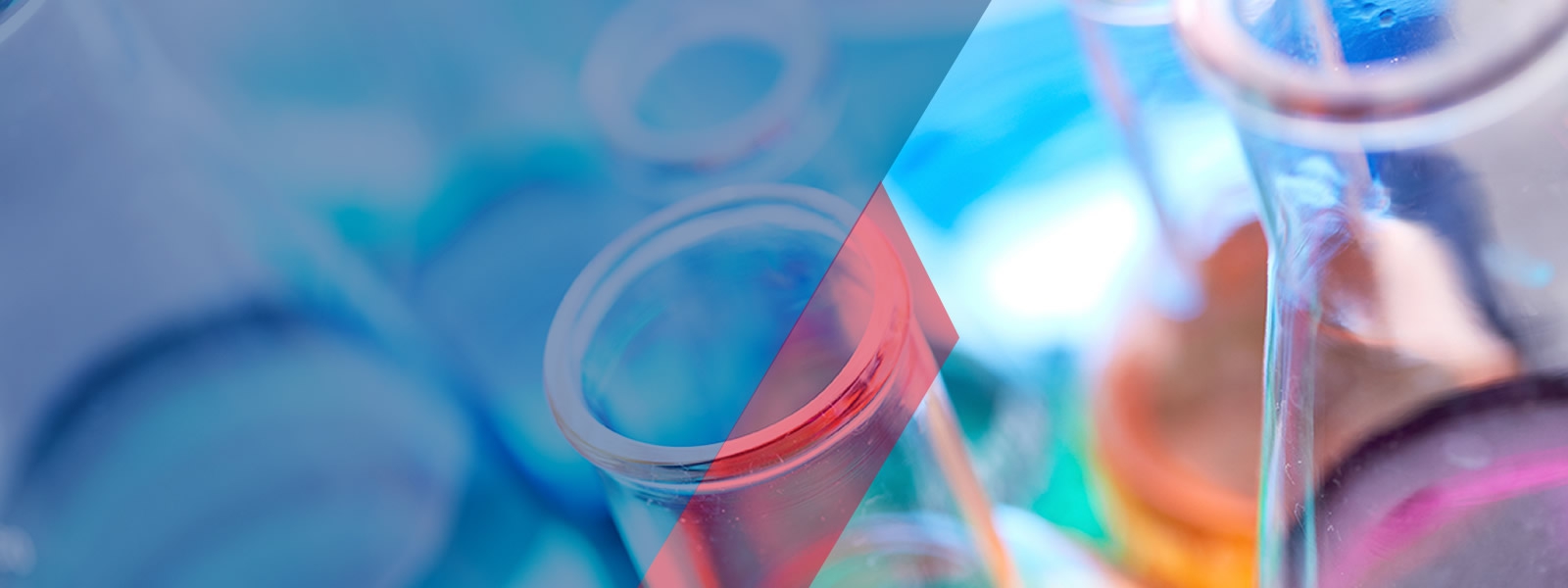 CONTAMOS CON TECNOLOGÍA DE PUNTA GARANTIZADA